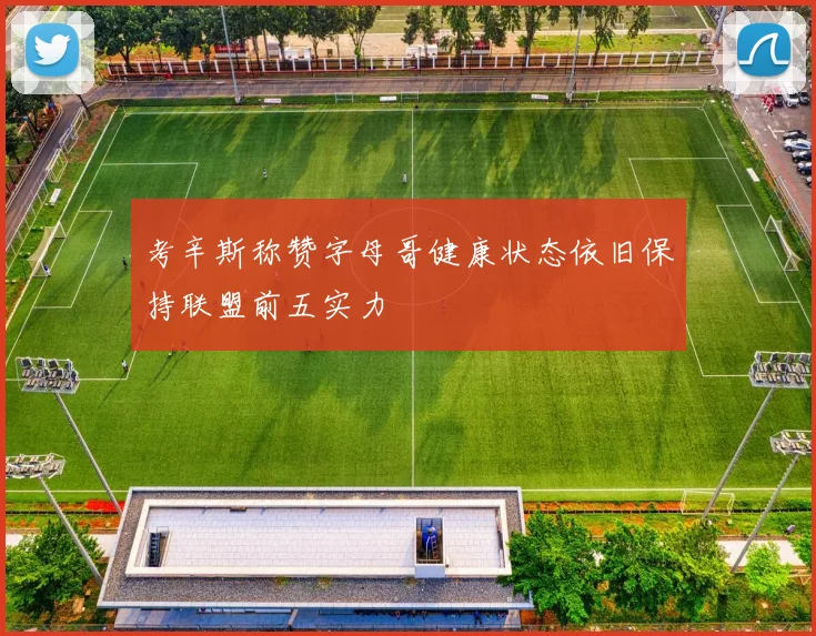 考辛斯称赞字母哥健康状态依旧保持联盟前五实力